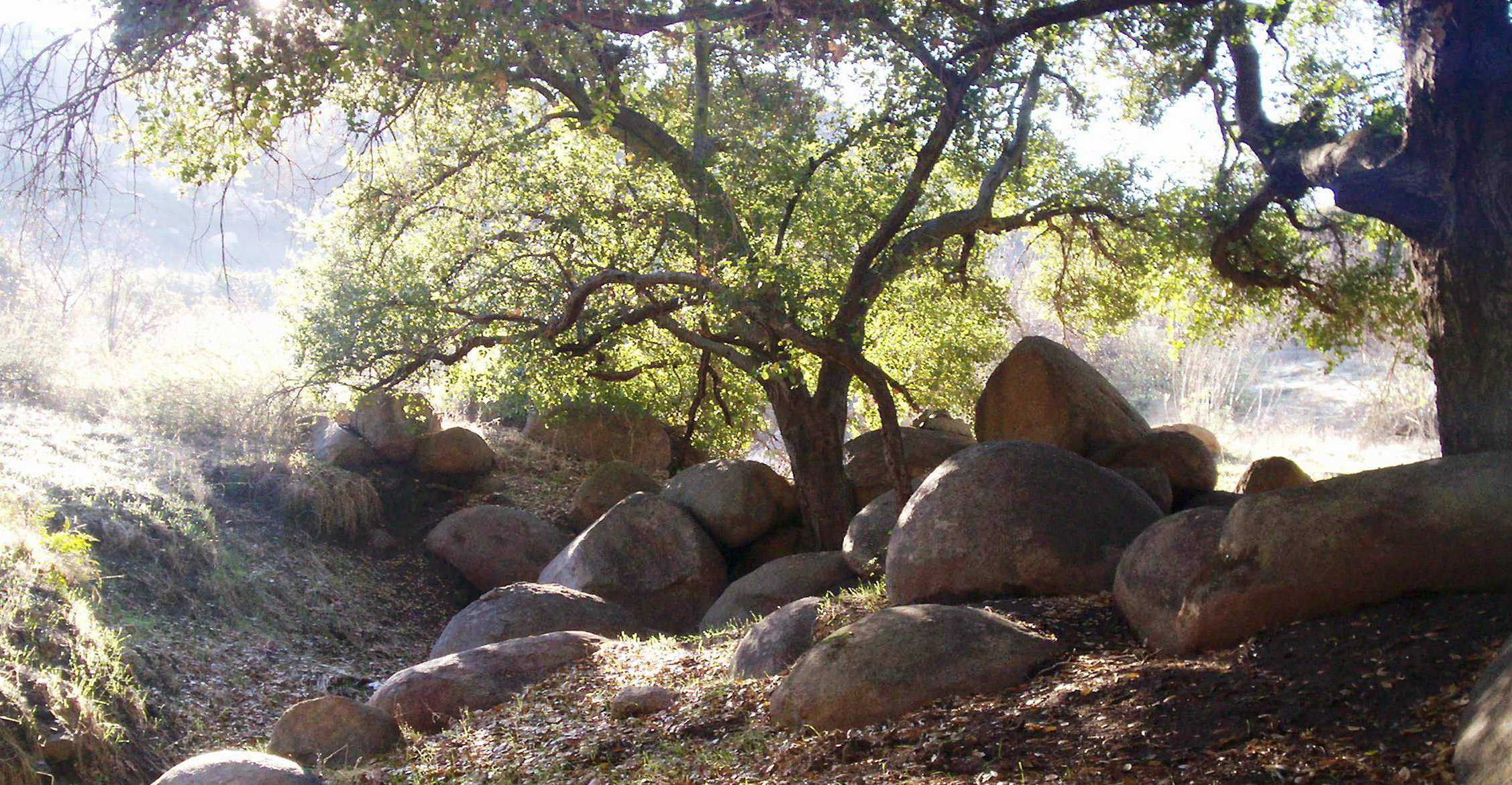 Louis A. Stelzer County Park